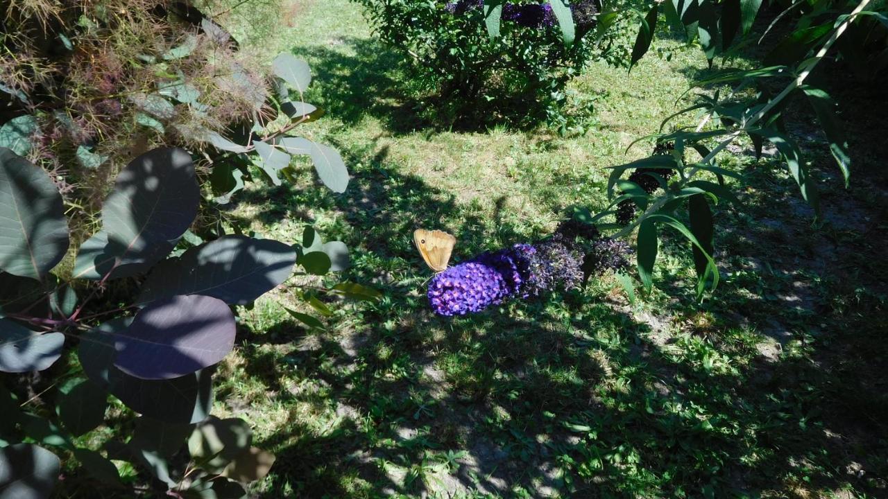 La Cle Des Sens Acomodação com café da manhã Le Faubourg Exterior foto